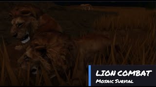 Lion Combat  ROBLOX Mosaic Survival Early Access [upl. by Asiel]