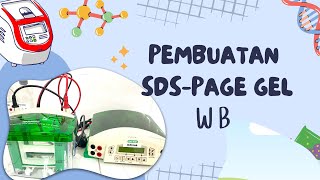 Pembuatan SDSPage Gel WB [upl. by Nicolle]