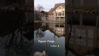 Pigeon Forge Tn 🏞️pigeonforge gatlinburg [upl. by Wales142]