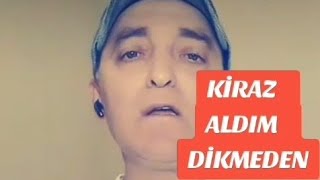 🎵 KİRAZ ALDIM DİKMEDEN 🎵 2️⃣ Halimem [upl. by Sueddaht]