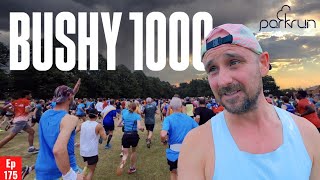 Chasing Twenty Attempt 5  Bushy Parkrun 1000  CHAOTIC Start [upl. by Eilzel]