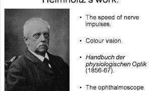 Helmholtz and Donders Psychology HPsy 45 [upl. by Yesnikcm695]