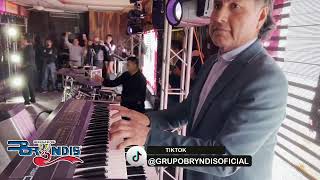 Vas A Sufrir  Grupo Bryndis  En vivo CDMX 4k [upl. by Nahsed]