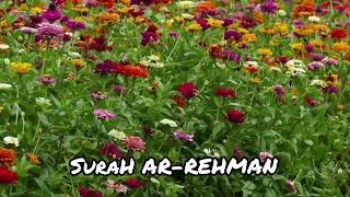 Surahrehman full by hafiz Zakir Hussain best Tilawat surah Rehman  EPI 006 amjoo8613 [upl. by Notseh585]