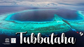 TUBBATAHA The Crown Jewel of the Philippines [upl. by Iruyas]