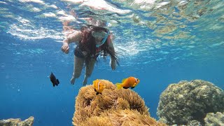 Snorkelingmaldives snorkeling travel [upl. by Sherfield]