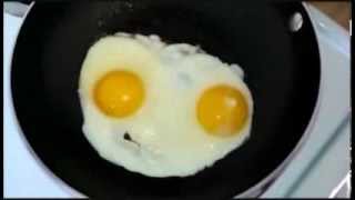 rapping eggs singing scatman johns im a scatman [upl. by Nalaf261]