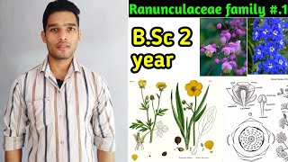 Ranunculaceae family floral formula daigram and Economic importance BSc 2 year [upl. by Paradies192]