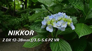 NIKKOR Z DX 1228mm f3556 PZ VR  Nikon Z50  DJI RS3  超広角パワーズームレンズ  長居公園  ジンバル撮影 [upl. by Rory]