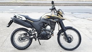 Rodolfinho da Z Testando Yamaha XTZ 250 LANDER 2023 [upl. by Aibar860]