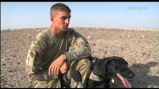 Military Working Dogs sniffing out danger 031012 [upl. by Atteiluj]