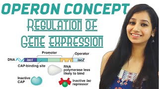 Operon Concept  Regulation of Gene ExpressionMolecular BiologyCSIRNETGATEIITJAMICARICMRDBT [upl. by Nylkcaj]