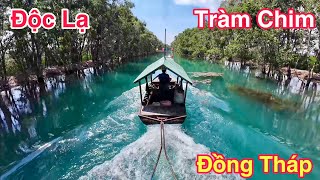 Khu Du Lịch Tràm Chim Tam Nông Đồng Tháp Độc Đáo Nước Phù Sa Màu Xanh Nước Biển  Khương Nhựt Minh [upl. by Ylen633]