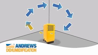 How do dehumidifiers work [upl. by Lavicrep8]