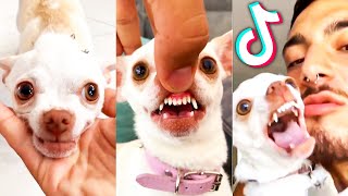 mreviatar  Funny Tiktok Compilation 3 [upl. by Eisen]