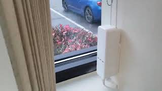 Zemismart Tuya WiFi Blind Driver Work With Alexa [upl. by Wonacott]