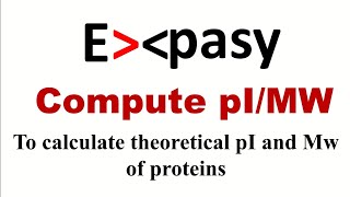 How to calculate isoelectric point amp molecular weight of a protein  Expasys compute pIMW tool [upl. by Nahgiem133]