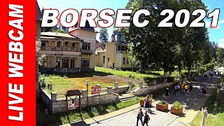 BORSEC 2021 LIVE WEBCAM [upl. by Dazraf]