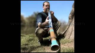 Didgeridoo Sounds [upl. by Ennaj]