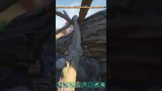 Mate a la araña lobo solo con ballesta grounded gamer gaming gameplay [upl. by Kraft]