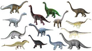 Sauropod Dinosaurs  Brontosaurus Apatosaurus Diplodocus  The Kids Picture Show Learning Video [upl. by Estes]