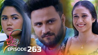 Jaanu  Episode 263  20240227  ITN [upl. by Alraep]