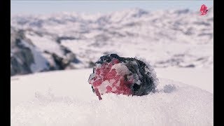 « REDLANDIC »  Meet the northern ruby miners [upl. by Eigroeg]