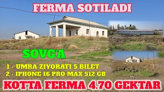 FERMA SOTILADI 470 GEKTAR 60000 XALODILNIK UMRA BILETI 5 TA IPHONE 16 PRO MAX 2 TA KAMENTGA 👍 [upl. by Annawad916]