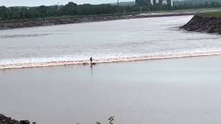 Tidal bore surfing on the Petitcodiac River  Moncton July 7 2024 [upl. by Annawek]