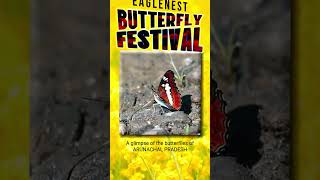 EaglenestButterflyFestival eaglenest arunachalpradesh butterflyfestival butterflyindia wildlife [upl. by Naffets570]