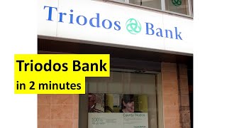 Triodos Bank in two minutes [upl. by Oralla799]