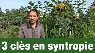 Questce que la syntropie  Définition et visite du potager [upl. by Nilved714]