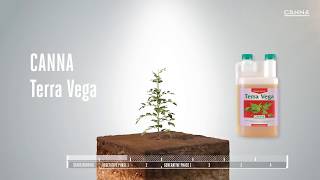 Wie benutze ich CANNA Terra Vega  Growshop Growee Linz [upl. by Oicul]