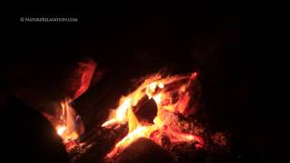 Nature Relaxation Peaceful Creekside Campfire  45 Minute Extended Relaxation HD 720p [upl. by Doykos]