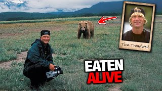 Grizzly Bear Horribly Mauled Timothy Treadwell Alive On Camera [upl. by Enytsirk998]