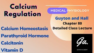 Calcium regulation  Parathyroid Hormone  Calcitonin  Vitamin D [upl. by Clothilde]