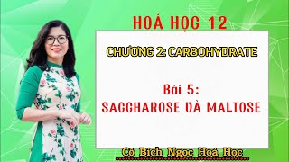 HÓA 12 BÀI 5 SACCHAROSE VÀ MALTOSE hoacobichngoc saccharose maltose hoa12 [upl. by Symons]