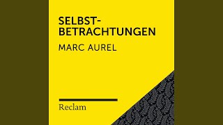 Selbstbetrachtungen II Buch 79 [upl. by Chamberlain]