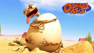 Hes Gotta Get That Egg or  Oscar’s Oasis  Funny Cartoons for Kids [upl. by Mumford106]