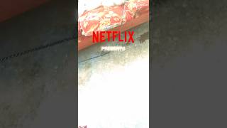 Here is netflix present 😅😅😅prank netflix doglover myanimal [upl. by Lore]