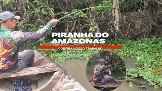 PESCARIA DE PIRANHA DO AMAZONAS [upl. by Htes]