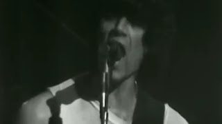 The Ramones  Full Concert  122878  Winterland OFFICIAL [upl. by Carn341]