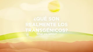 Ciencia animada UPM Qué son los transgénicos [upl. by Notelrahc377]