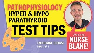 Hypoparathyroidism vs Hyperparathyroidism NCLEX Pathophysiology Endocrine Review with Nurse Blake [upl. by Aibun]