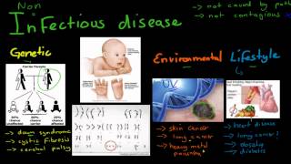 SB6 Cause and Treatment of Non Infectious Disease HSC biology [upl. by Toby73]