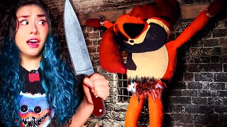 🚫 ABRÍ un Peluche de DOGDAY ATERRADOR de POPPY PLAYTIME 3 🔪😱  ELMO Catnap Huggy wuggy [upl. by Stein734]