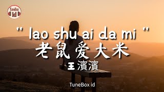 lao shu ai da mi 老鼠爱大米 Cover Wang Binbin 王濱濱  Lirik Lagu  Lyrics  Yang Chengang 杨臣刚 [upl. by Eastman]