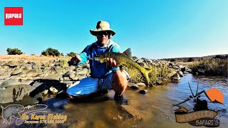 Smallmouth Yellows on the Orange River [upl. by Oramlub]