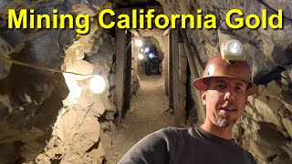 Mining California Gold [upl. by Diarmit236]