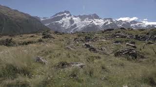 Pristine Peaks and Powerful Rivers Experiencing Nature Force in New Zealand 2 [upl. by Stearn]